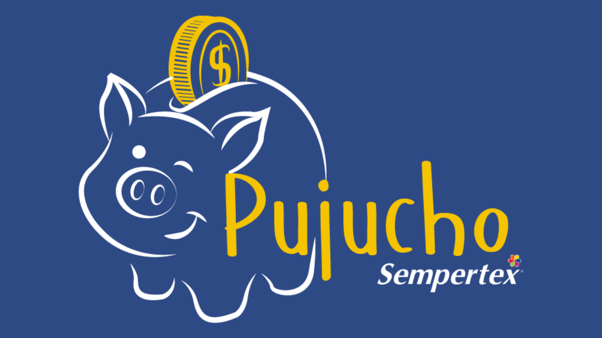 Curso de Finanzas personales pujucho (Respaldo)